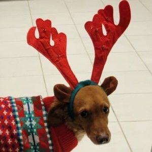 Meet your Posher, Soumya